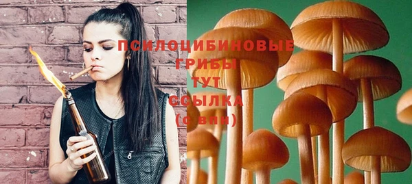 соль ск Алексеевка