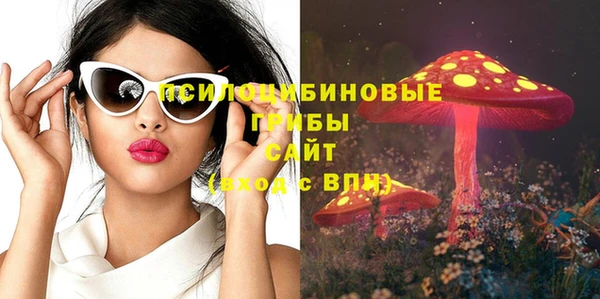 соль ск Алексеевка