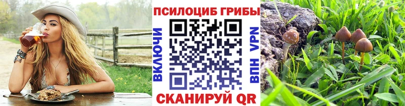 Галлюциногенные грибы MAGIC MUSHROOMS  Купить закладки  Симферополь 