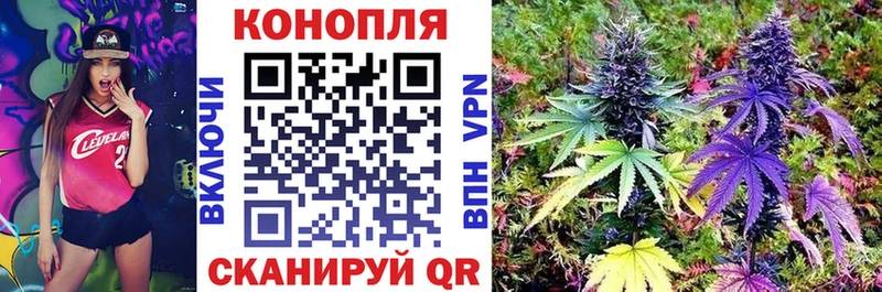 Купить  Симферополь  Шишки марихуана OG Kush 